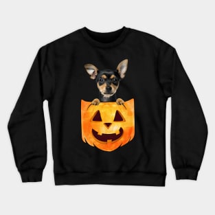 German Pinscher Dog In Pumpkin Pocket Halloween Crewneck Sweatshirt